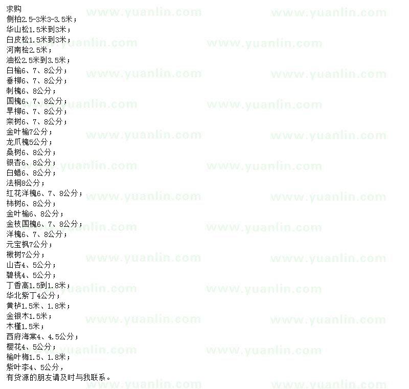 求購側(cè)柏、華山松、白皮松等