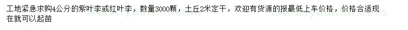 求購4公分紫葉李或紅葉李