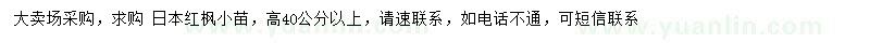 求購高40公分以上日本紅楓