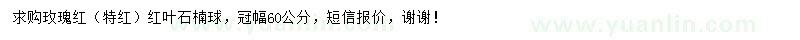求購冠幅60公分紅葉石楠球