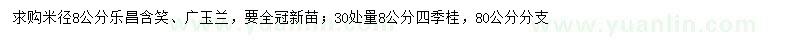 求購(gòu)樂(lè)昌含笑、廣玉蘭、四季桂
