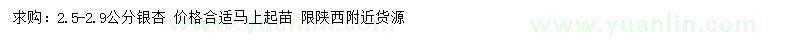 求購(gòu)2.5-2.9公分銀杏