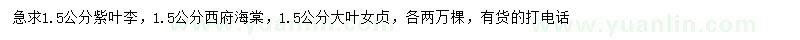 求購(gòu)紫葉李、西府海棠、大葉女貞