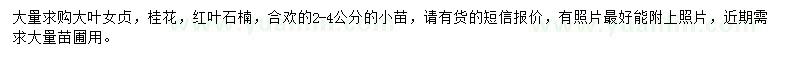 求購大葉女貞、桂花、紅葉石楠等