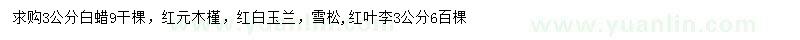 求購白蠟、木槿、玉蘭等