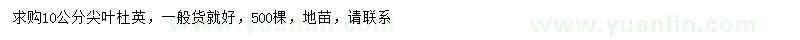 求購10公分杜英