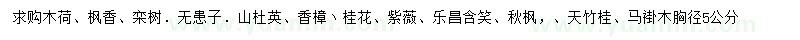 求購木荷、楓香、欒樹等