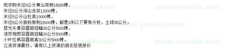 求購黃山欒樹、深山含笑、山杜英等
