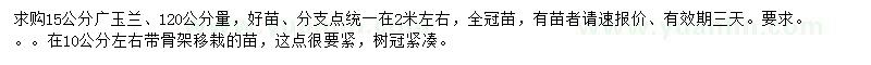 求購(gòu)120公分量15公分廣玉蘭