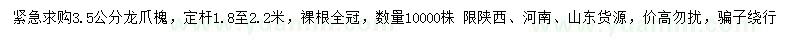求購3.5公分龍爪槐