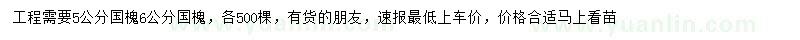 求購5、6公分國槐