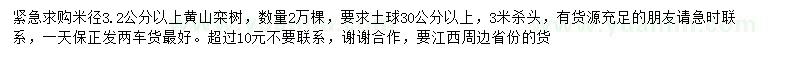 求購(gòu)米徑3.2公分以上黃山欒樹(shù)