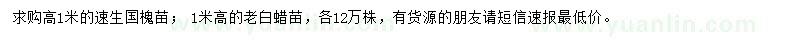 求購(gòu)高1米速生國(guó)槐、老白蠟