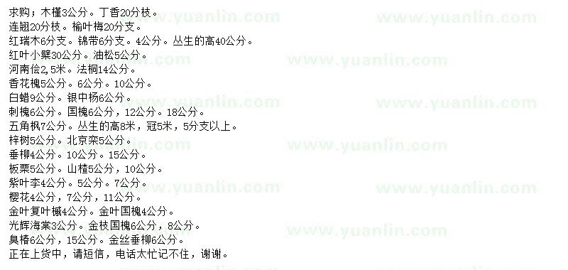 求購(gòu)木槿、丁香、連翹等