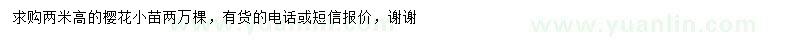 求購高2米櫻花