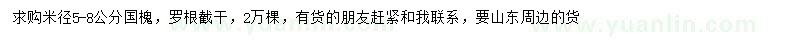 求購米徑5-8公分國槐