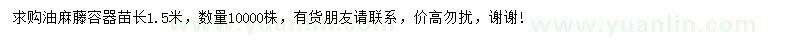 求購長1.5米油麻藤