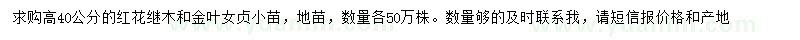 求購高40公分紅花繼木小苗、金葉女貞小苗