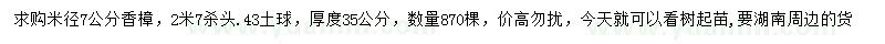 求購米徑7公分香樟
