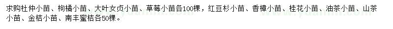 求購杜仲小苗、枸橘小苗、大葉女貞小苗