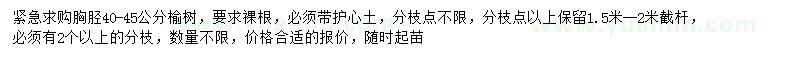 求購(gòu)40-45公分榆樹(shù)