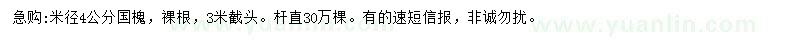 求購米徑4公分國槐