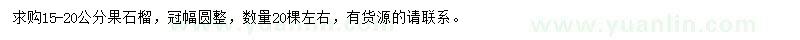 求購(gòu)15-20公分果石榴