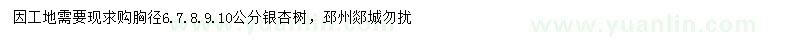 求購胸徑6、7、8、9、10公分銀杏