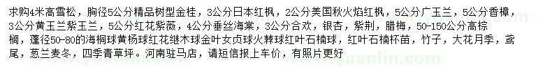 求購高4米雪松、金桂、日本紅楓等