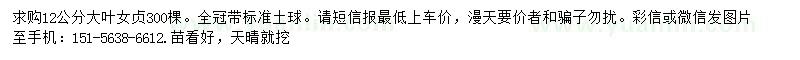 求購12公分大葉女貞