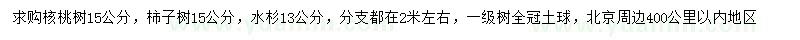 求購核桃樹、水杉、柿子樹