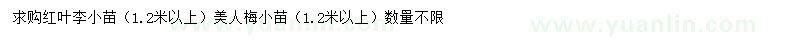 求購1.2米以上紅葉李小苗、美人梅小苗