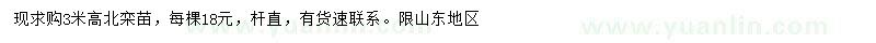 求購高3米北欒苗