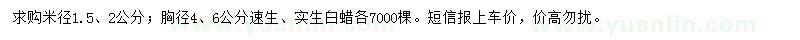 求購白蠟