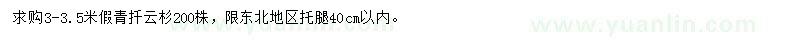 求購3-3.5米假青扦云杉