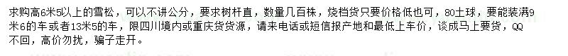 求購(gòu)高6米5以上雪松