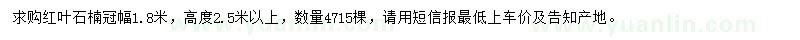 求購冠幅1.8米紅葉石楠