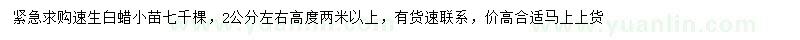 求購2公分左右速生白蠟