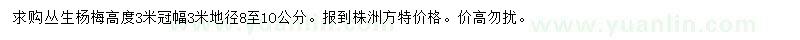 求購高3米楊梅