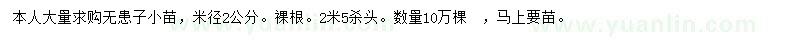 求購米徑2公分無患子小苗