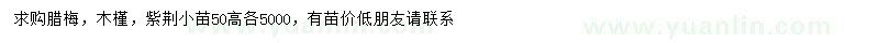 求購臘梅、木槿、紫荊