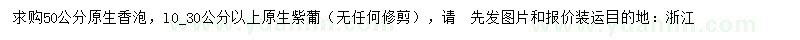 求購50公分原生香泡