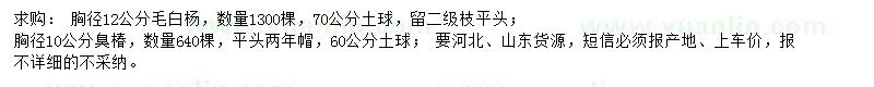 求購(gòu)胸徑12公分毛白楊、胸徑10公分臭椿