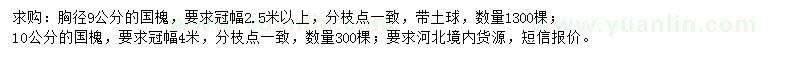求購(gòu)胸徑9、10公分國(guó)槐