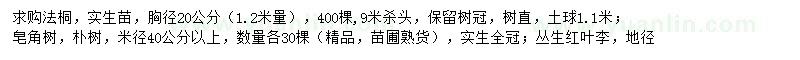 求購法桐、樸樹、皂角等