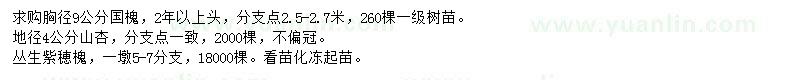 求購國槐、山杏、紫穂槐