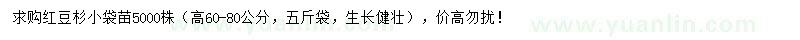 求購高60-80公分紅豆杉