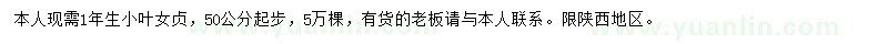 求購(gòu)50公分起小葉女貞