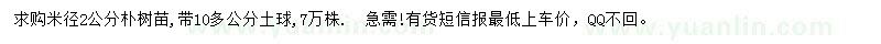 求購(gòu)米徑2公分樸樹