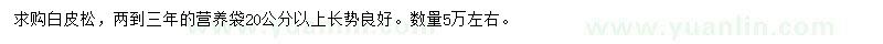 求購20公分以上白皮松